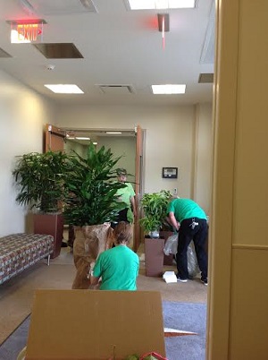 interior landscaping office living wall interior landscaping interior landscaping design interior landscaping office living wall interior landscaping interior landscaping design